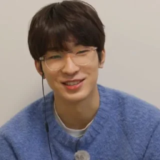 🧊 emoji @STIKERSVT : Wonwoo The Truman Show of Mr. SVT's #1 Telegram sticker 2 of 30