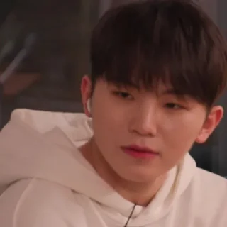 Sticker from @STIKERSVT : Woozi The Truman Show of Mr. SVT's #2