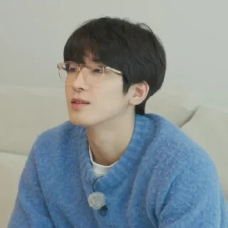 🧊 emoji @STIKERSVT : Wonwoo The Truman Show of Mr. SVT's #1 Telegram sticker 16 of 30