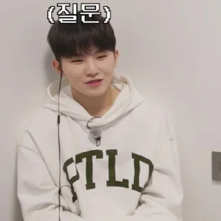 Sticker from @STIKERSVT : Woozi The Truman Show of Mr. SVT's #2
