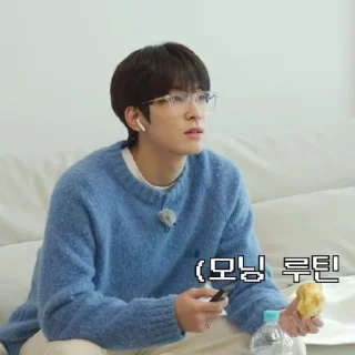 🧊 emoji @STIKERSVT : Wonwoo The Truman Show of Mr. SVT's #1 Telegram sticker 5 of 30