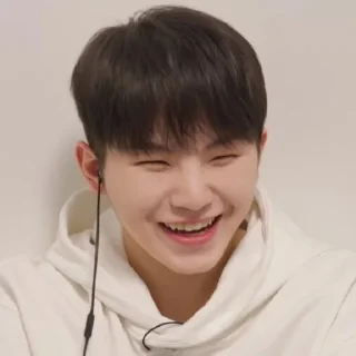 Sticker from @STIKERSVT : Woozi The Truman Show of Mr. SVT's #2