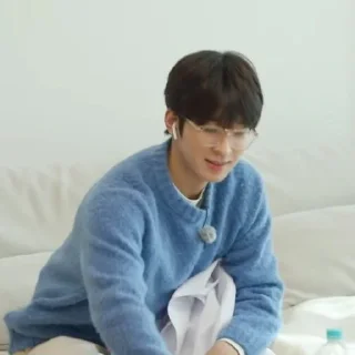 🧊 emoji @STIKERSVT : Wonwoo The Truman Show of Mr. SVT's #1 Telegram sticker 14 of 30