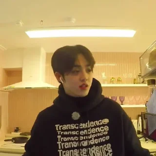 Sticker from @STIKERSVT : S.COUPS The Truman Show of Mr. SVT's #1