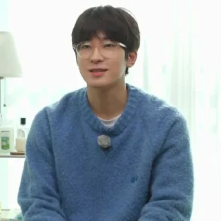 🧊 emoji @STIKERSVT : Wonwoo The Truman Show of Mr. SVT's #1 Telegram sticker 20 of 30