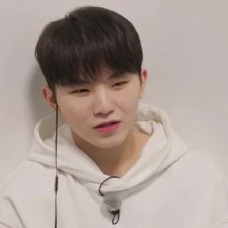 Sticker from @STIKERSVT : Woozi The Truman Show of Mr. SVT's #2