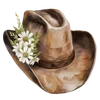 🤠 emoji 𐚁 𝓒𝓸𝔀𝓰𝓲𝓻𝓵𝓼 𝓫𝔂 @TSthemes Telegram sticker 22 of 55