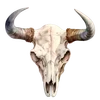 💀 emoji 𐚁 𝓒𝓸𝔀𝓰𝓲𝓻𝓵𝓼 𝓫𝔂 @TSthemes Telegram sticker 11 of 55