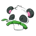 Sticker from Panda (cute baby panda)