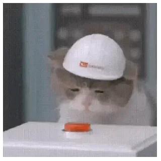 😊 emoji Miao meme Telegram sticker 8 of 20