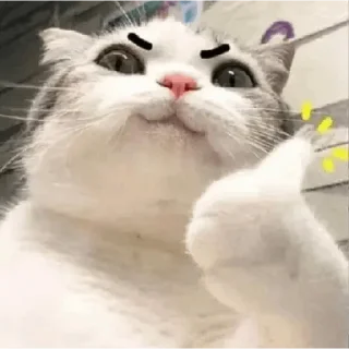 Sticker from Miao meme