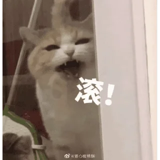 😊 emoji Miao meme Telegram sticker 19 of 20