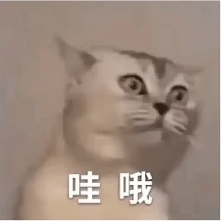 😊 emoji Miao meme Telegram sticker 15 of 20