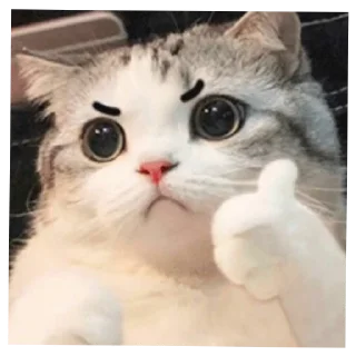 😊 emoji Animal meme package Telegram sticker 5 of 35