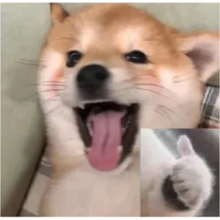 😊 emoji Animal meme package Telegram sticker 2 of 35