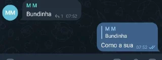 Sticker from AetherSX2 Brasil 🇧🇷 pack by @QuotLyBot