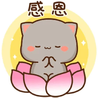 😊 emoji Peach cat 蜜桃貓 (25) @kal_pc Telegram sticker 12 of 24