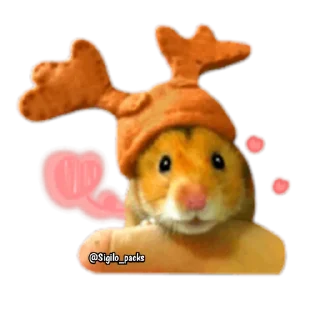 Sticker from Hamsters🐹💕 @Sigilo_packs