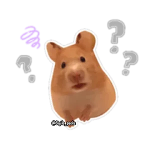 Sticker from Hamsters🐹💕 @Sigilo_packs
