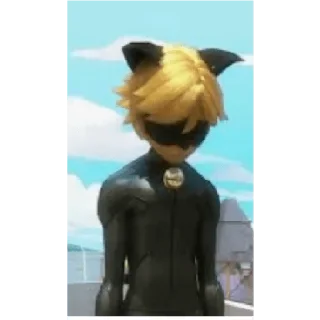 Sticker from cat noir hehe