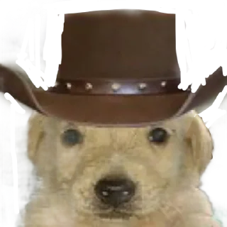 Sticker from Perros del Rubén