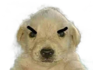Sticker from Perros del Rubén