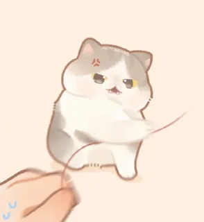 🐱 emoji Kawaii Cats~ @TheSungJinWoo Telegram sticker 15 of 60