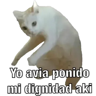 🐱 emoji Stickers mas perros del mundo 4 Telegram sticker 6 of 76