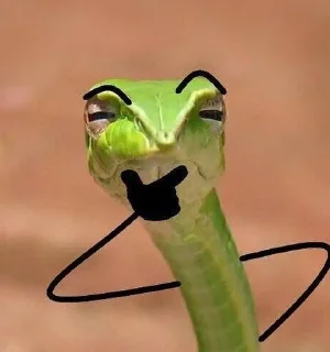 Sticker from NXZ Snakes