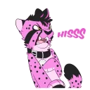 Sticker from Kotanus do what Kotanus want!