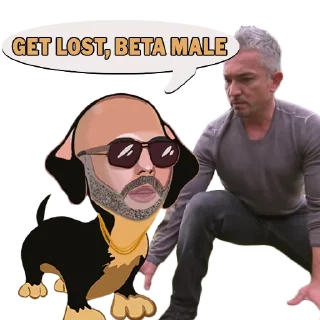 Sticker from Andrew Tate Inu