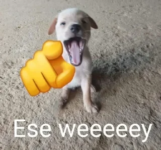 🌟 emoji ese wey's sticker pack (@darkakamibot) Telegram sticker 3 of 37