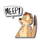 Sticker from Meerkat