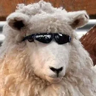 Sticker from Sheep🐑 @yourstickerschnl