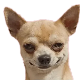 Sticker from Wpp