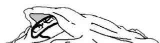 😠 emoji ғʟᴏʀᴋ ᴏғ ᴄᴏᴡs, SɌ Ø₮₳ԞɄ™ @Sr_otaku Telegram sticker 20 of 32