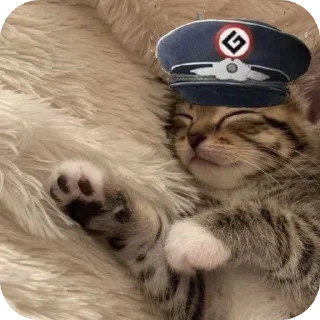 Sticker from THE GESTAPO   @Chetitotactico010