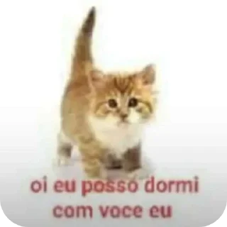 🌟 emoji Engraçadinha né Anne 2.0 Telegram sticker 3 of 75
