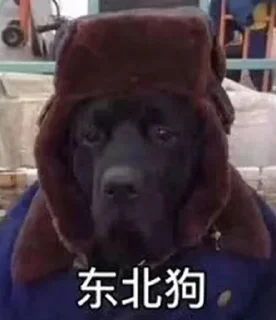 🐶 emoji 一心爱中国 Telegram sticker 1 of 13