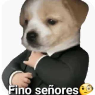 🖼 emoji KristianAdminDeAdmin @QuotLyBot Telegram sticker 13 of 19