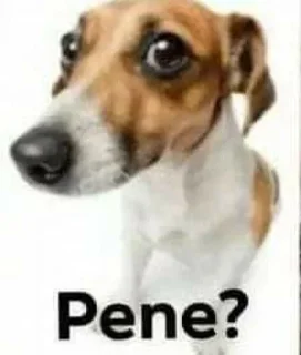 🤔 emoji William perro desgraciado's Sticker Pack 1 Telegram sticker 18 of 120