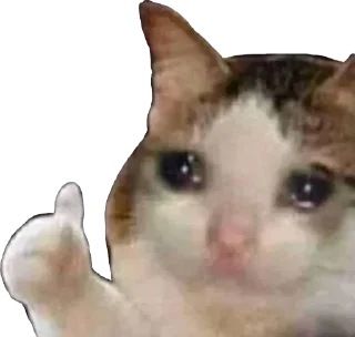 Sticker from Senpai sticker pack