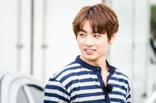 😄 emoji Kookie Telegram sticker 14 of 32