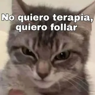 😾 emoji 𝙵𝚎𝚕𝚒𝚡's sticker pack Telegram sticker 19 of 108