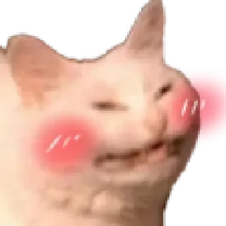 😚 emoji 𝙵𝚎𝚕𝚒𝚡's sticker pack Telegram sticker 5 of 108