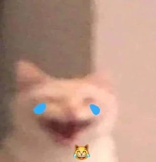 😹 emoji 𝙵𝚎𝚕𝚒𝚡's sticker pack Telegram sticker 22 of 108