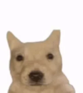 Sticker from 𝑳𝒐𝒏𝒆𝒍𝒚's video pack (@darkakamibot)
