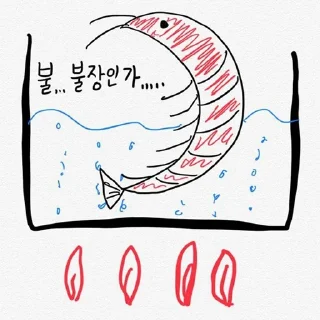 Sticker from shrimp