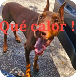 🐶 emoji Hannah novo sticker Telegram sticker 23 of 47