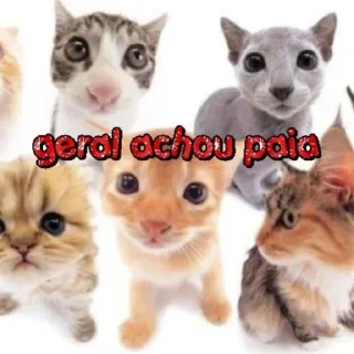 Sticker from BEBELU MIND